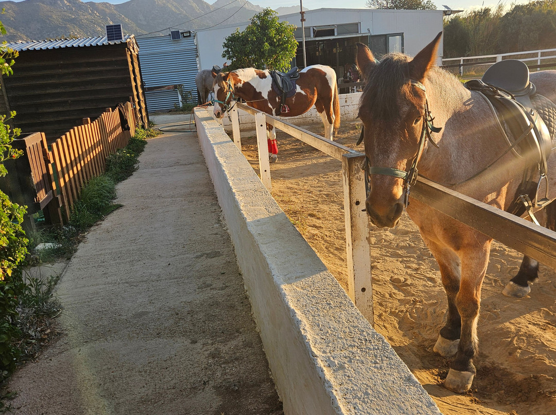 Kardamena Horse Riding Center-卡达米那必去景点