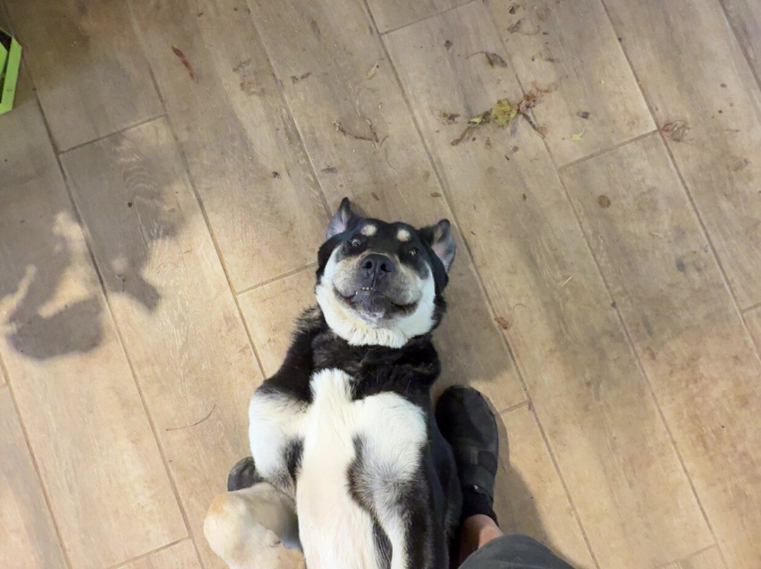 Les Animaux De Fairytale-Cap-d'Agde必去景点