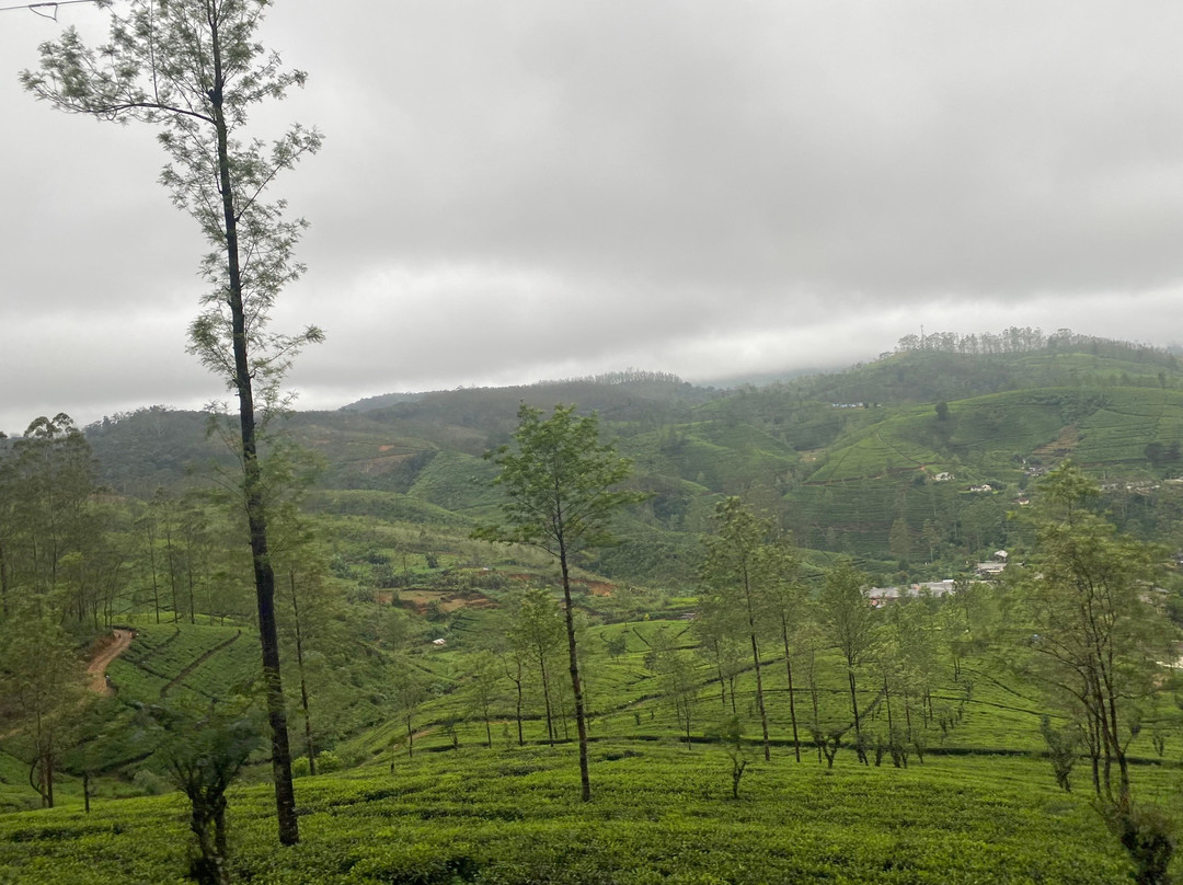 Wonder Sri Lanka Tours-卡图纳耶克必去景点