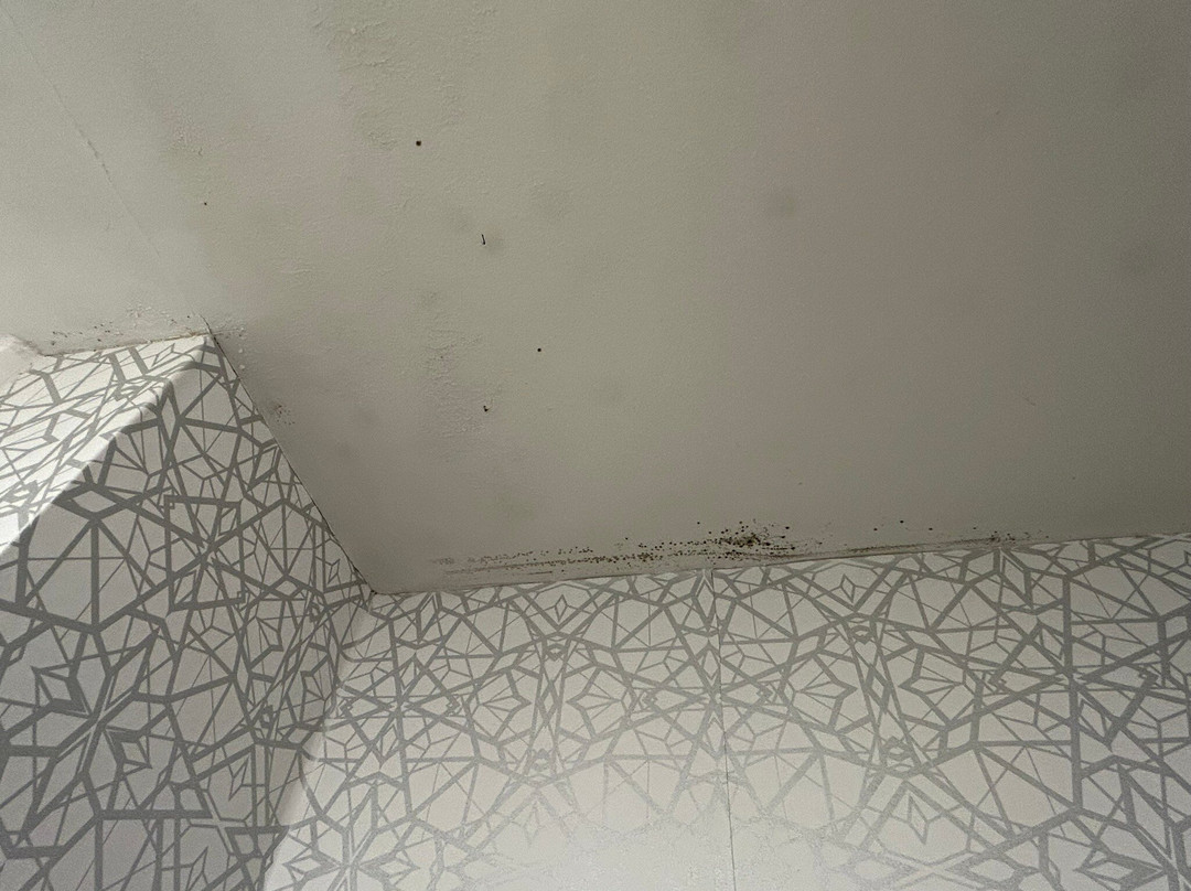 Hampton Inn Williamsburg主图