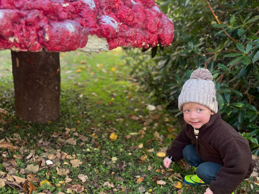 Montalto Estate-Ballynahinch必去景点