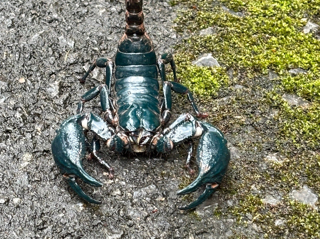 Khao Yai National Park-北丕必去景点