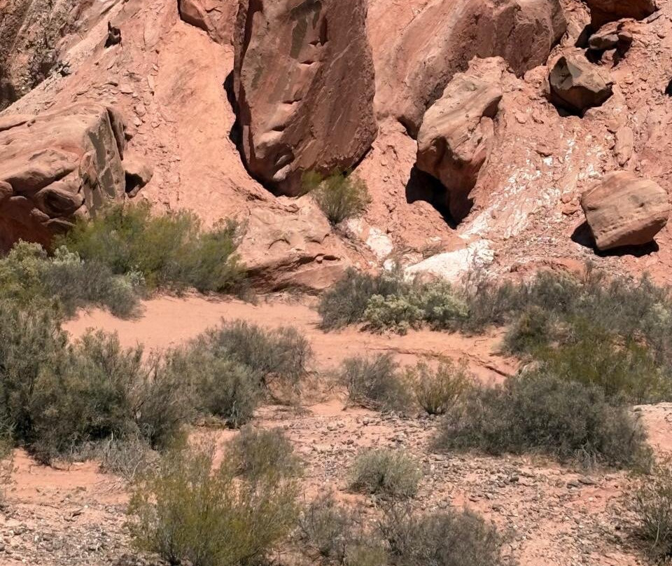 Parque Nacional Talampaya-Villa Union必去景点