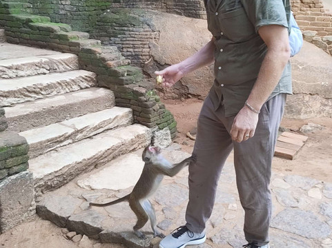 Sanka Tours-卡卢特勒必去景点