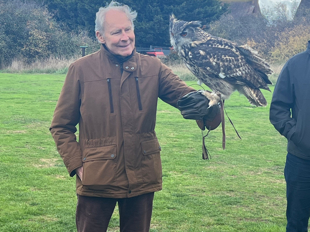 Feathers and Fur Falconry Centre-布拉克内尔必去景点