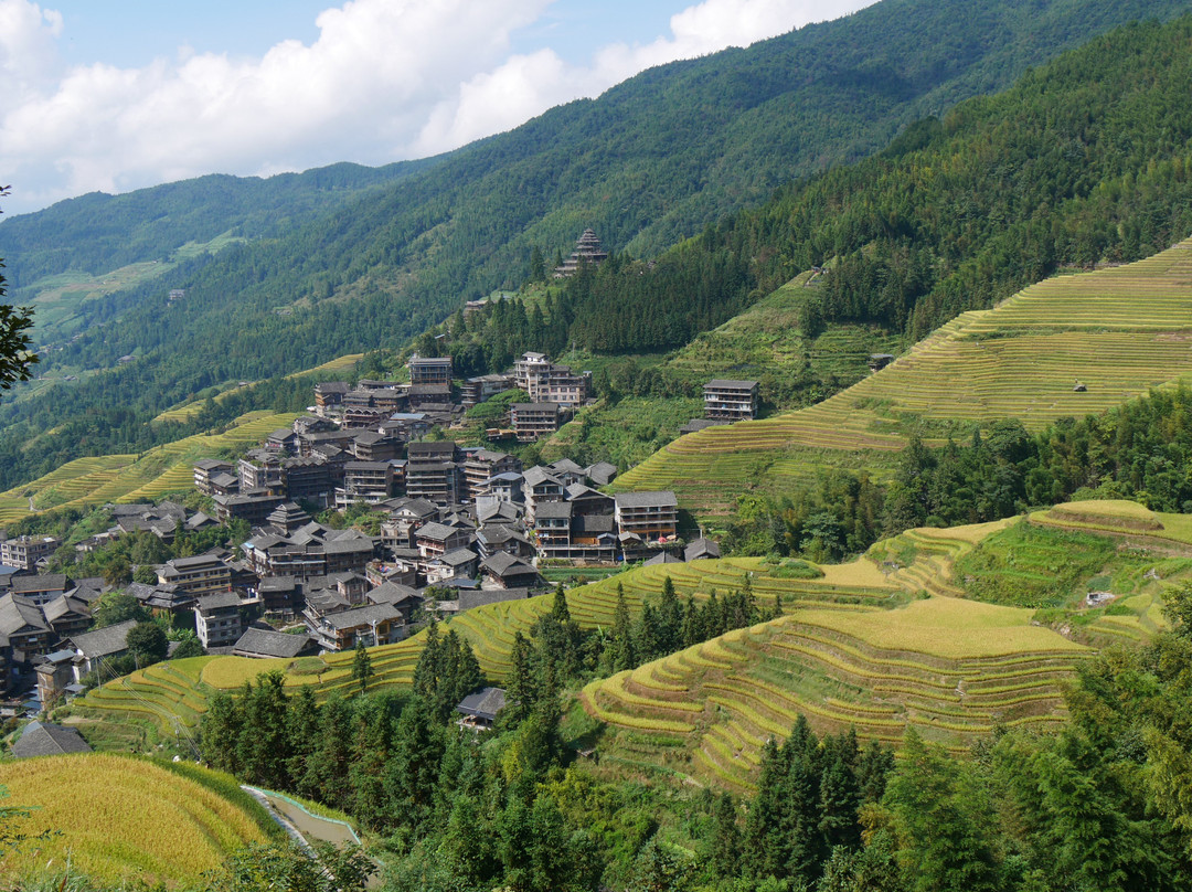 Longji Rice Terraces-桂林市必去景点