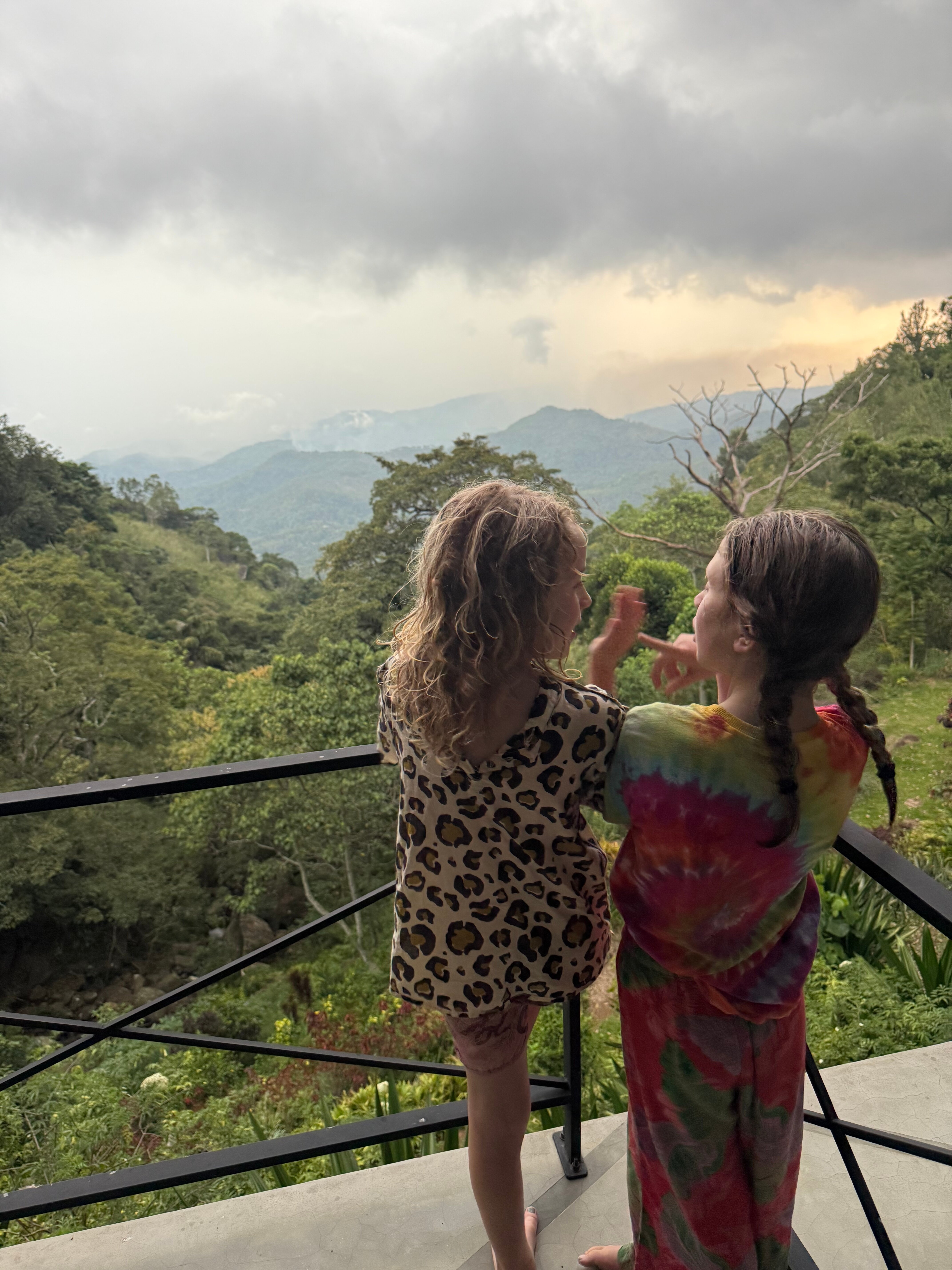 GlenMyu Estate-官方