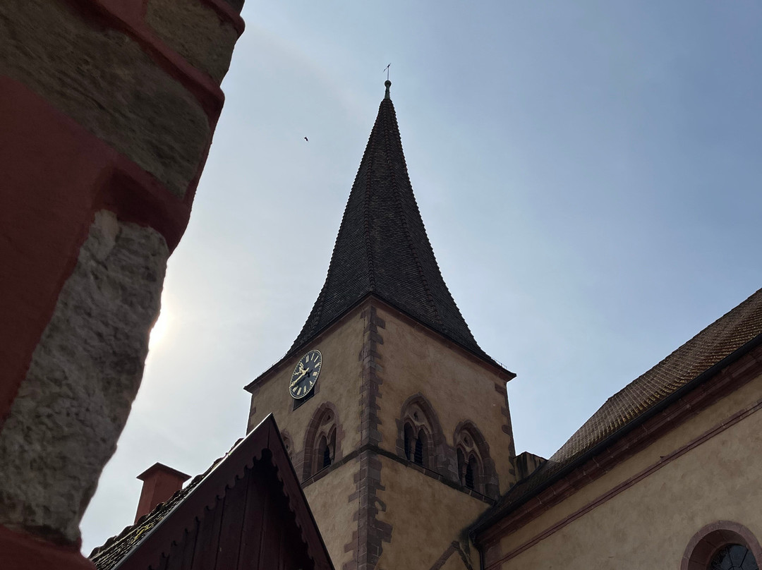 Eglise Saint-Gall-下莫施威尔必去景点