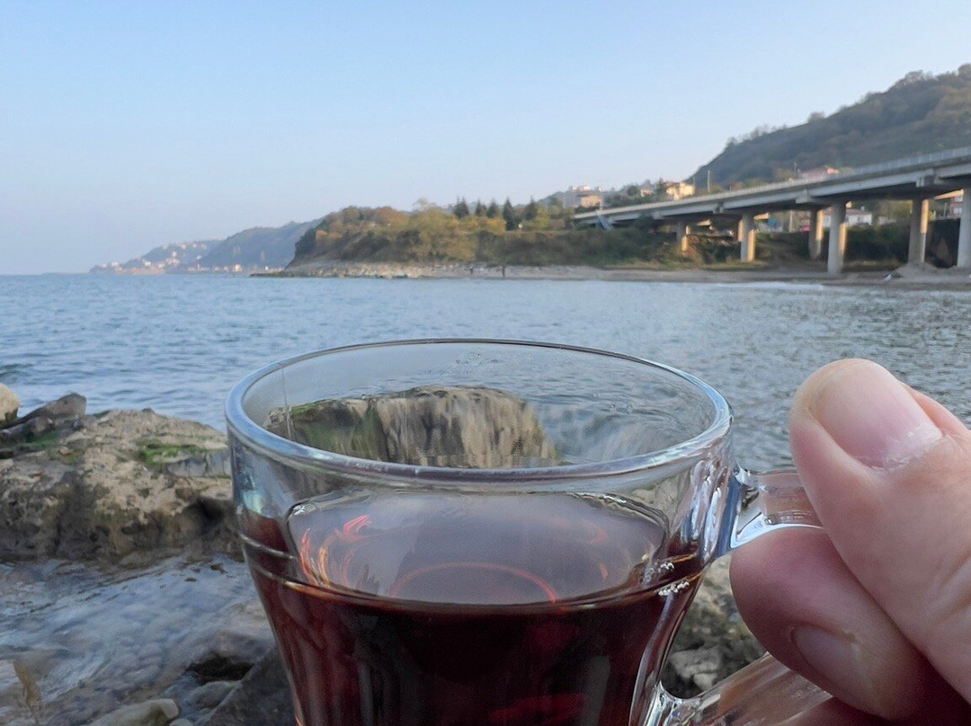 Best Western Plus Trabzon