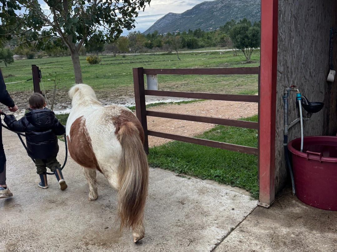 Ranch Novaković-Cilipi必去景点