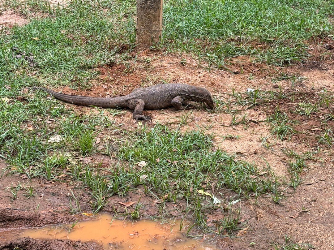 Akarshana Tours-埃勒必去景点
