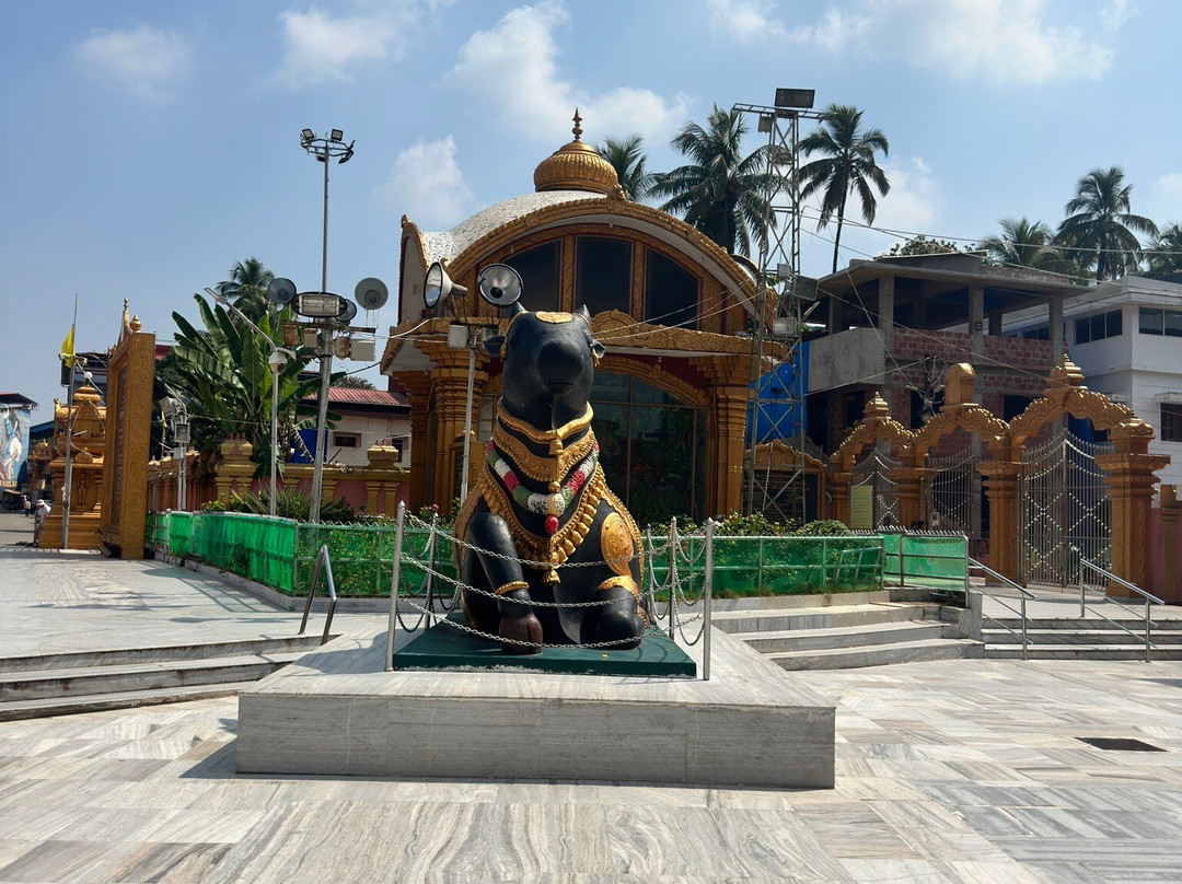 曼加尔生姜酒店主图