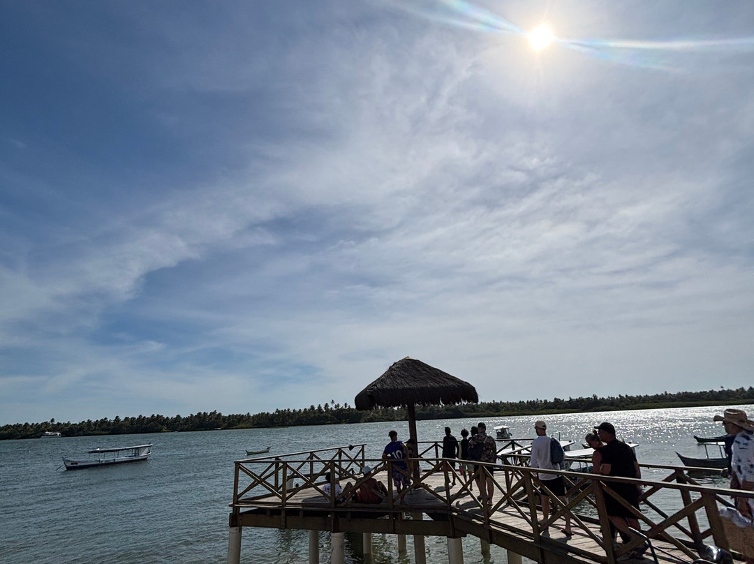Farol da Foz Ecoturismo-Piacabucu必去景点