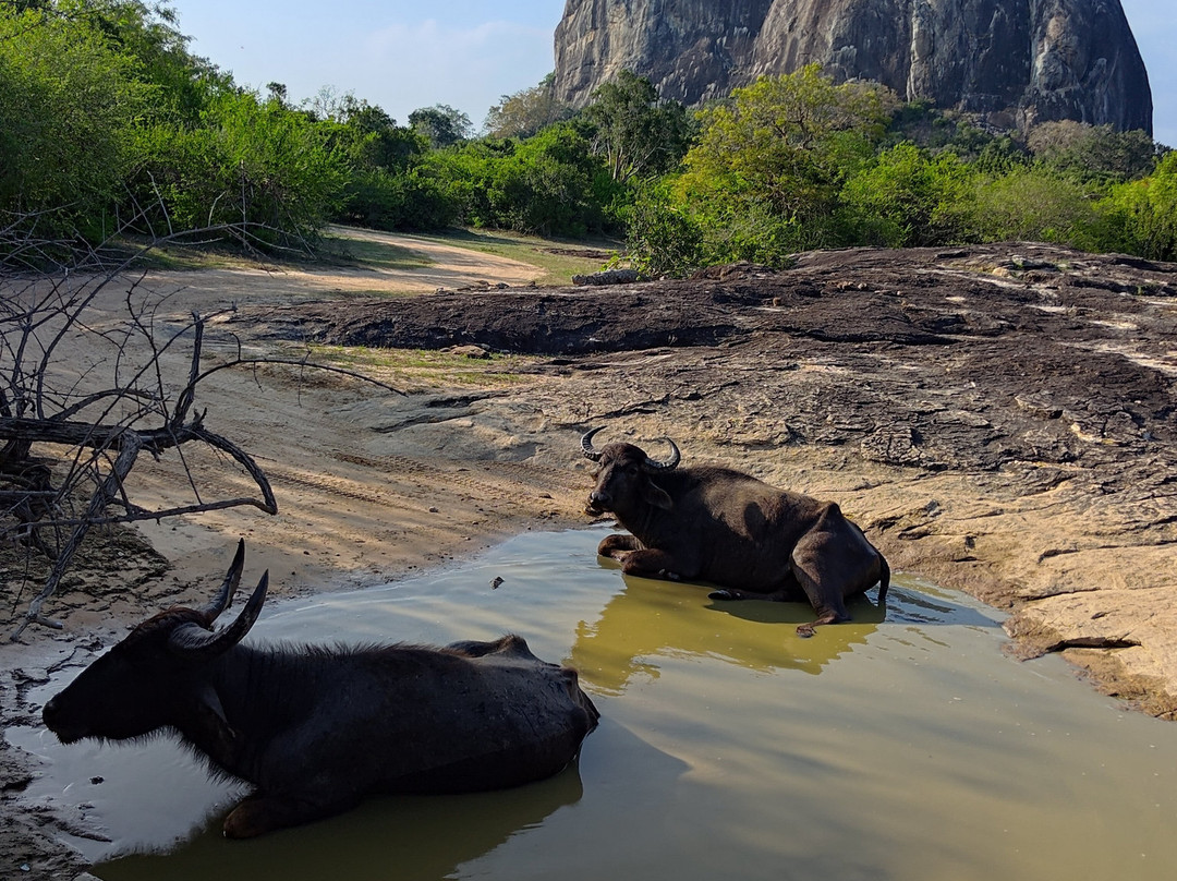 Journey Lanka-Bandaragama必去景点