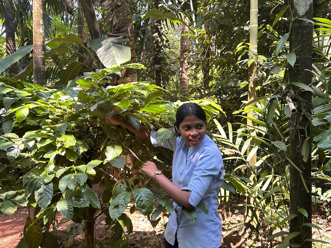 Tanshikar's Working Organic Spice Farm-Sanguem必去景点