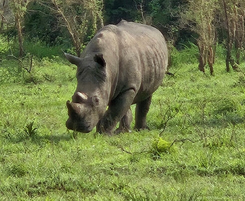 Hills in the Mist Tours-吉佳利必去景点