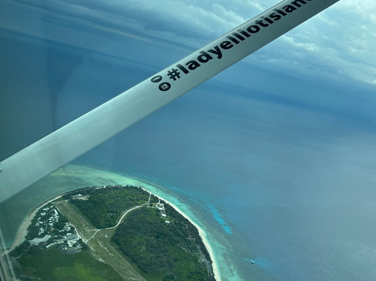 Lady Elliot Island Day Tour-埃里奥特夫人岛必去景点