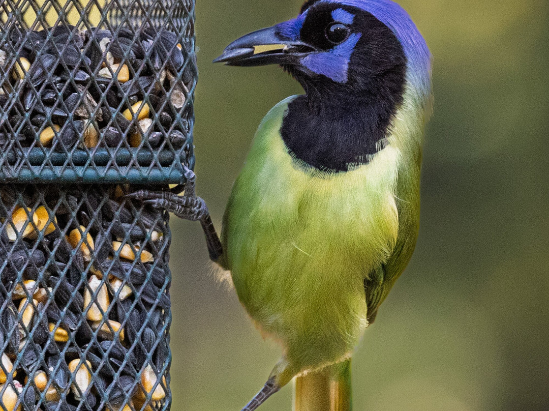 Goliad State Park & Mission Espíritu Santo State Historic Site-Goliad必去景点
