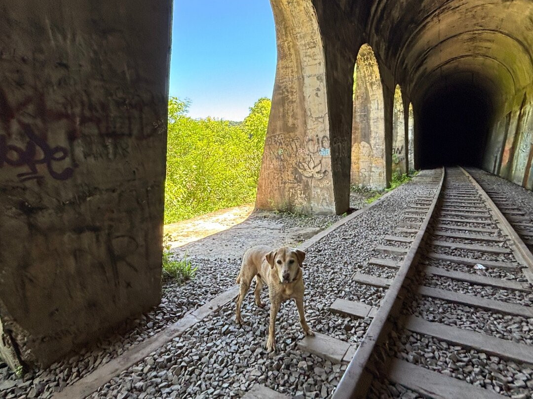 Túnel das Janelas-Vespasiano Correa必去景点