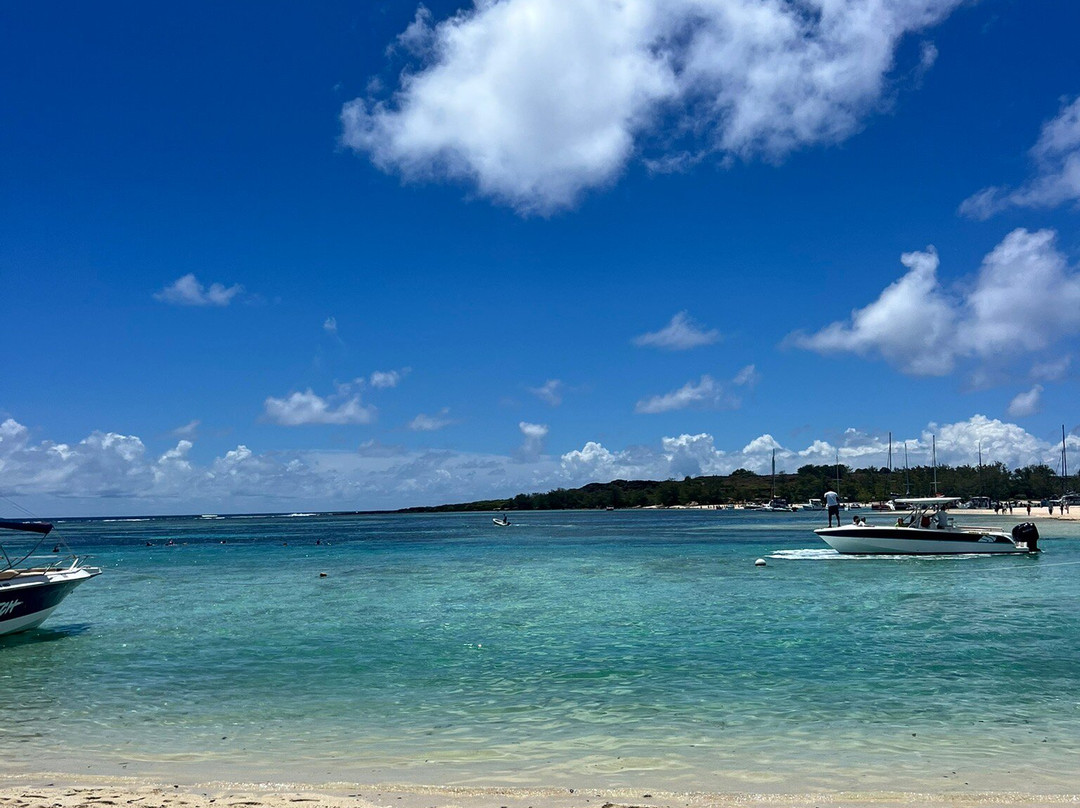 TOPCAT Cruises-大湾必去景点