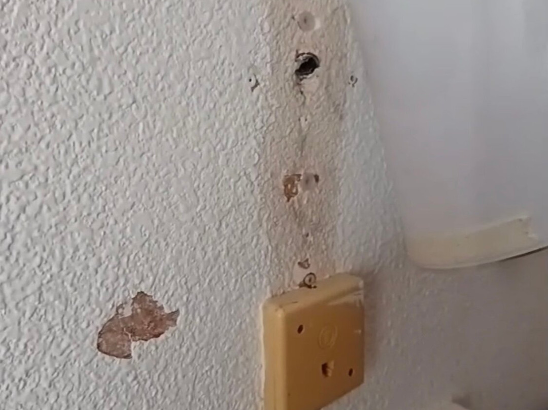 Hostal La Numantina主图