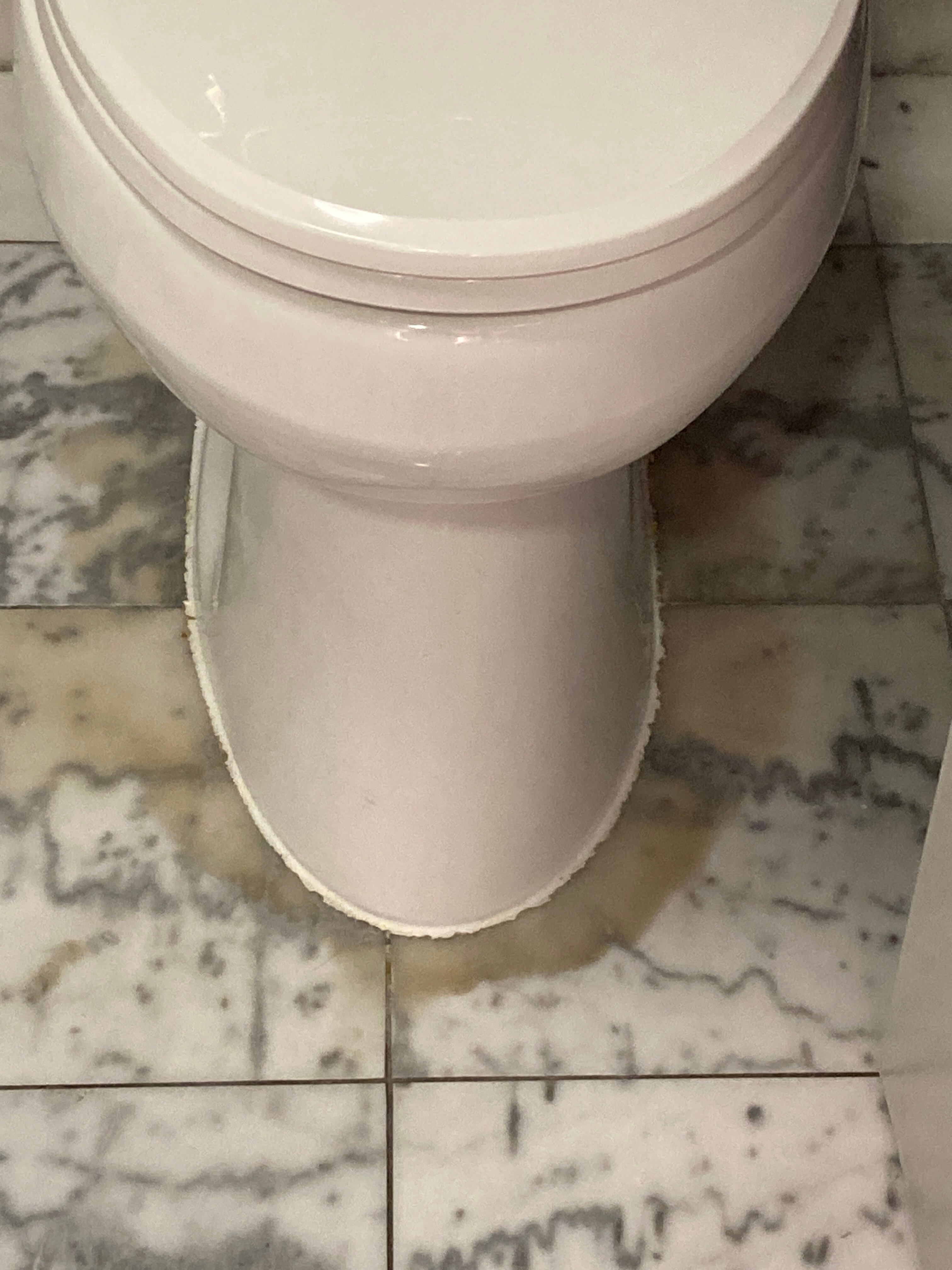 Homewood Suites By Hilton Newtown - Langhorne-官方