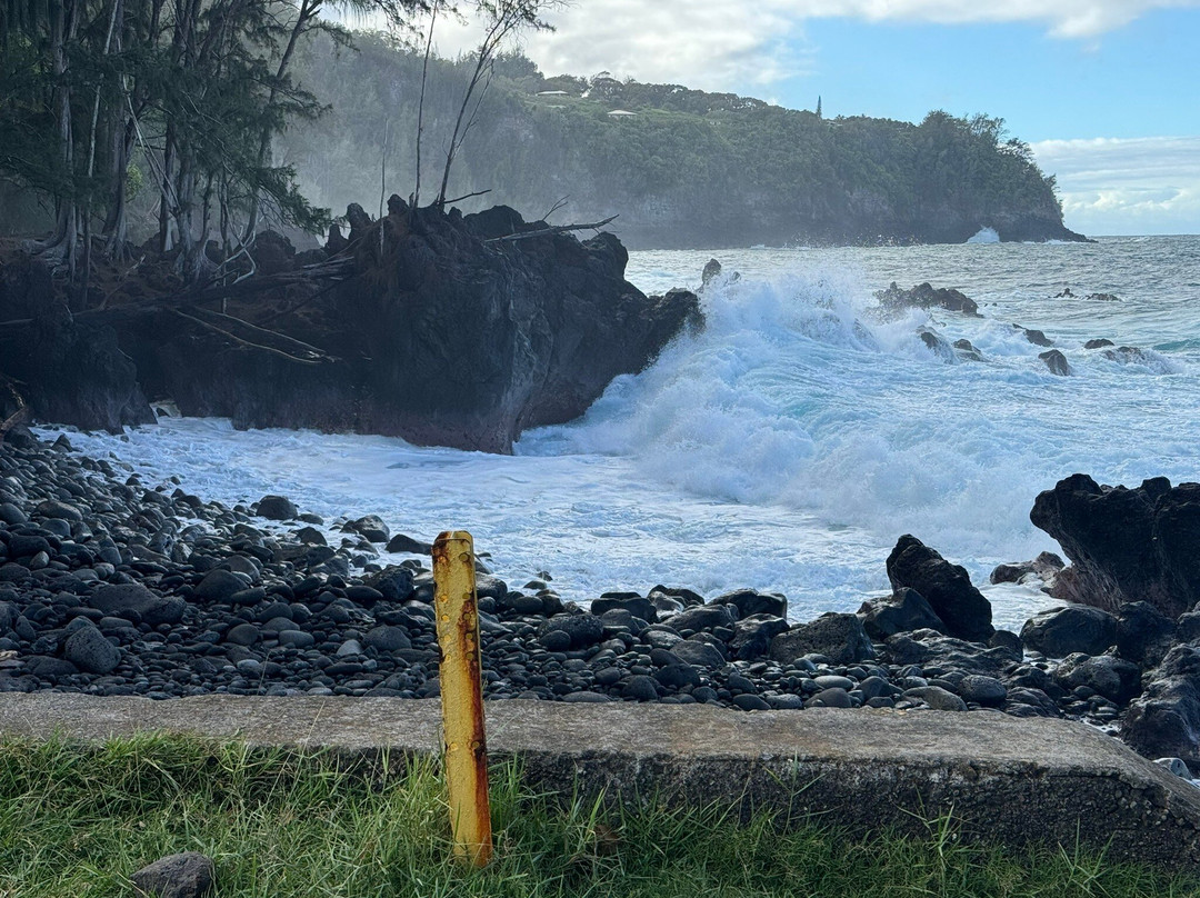 老夏威夷家庭式酒店主图