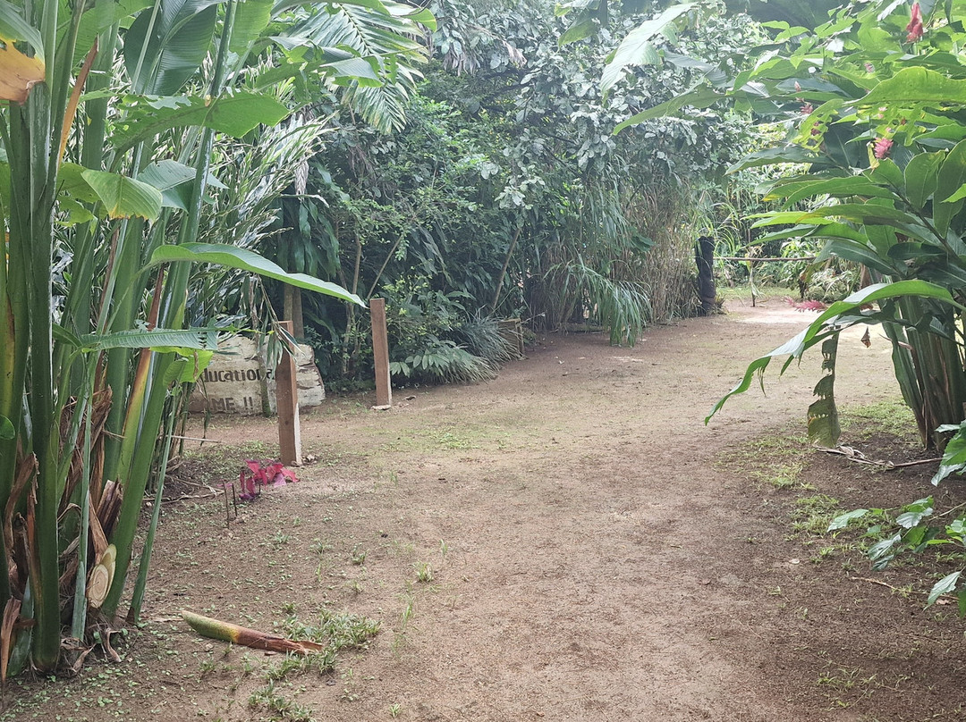 Pepeyo Cultural and Educational Tour-维拉港必去景点