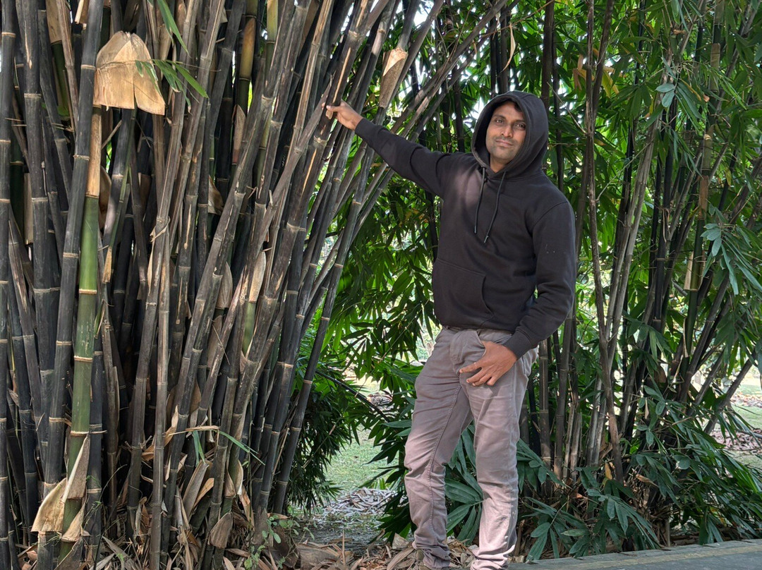 Janeshwar Mishra Park-拉克瑙必去景点