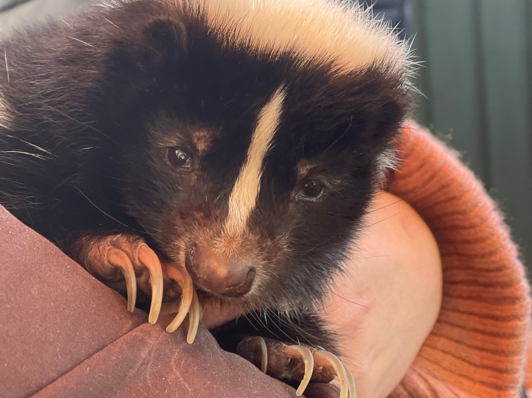 Hoo Zoo And Dinosaur World-特尔福德必去景点