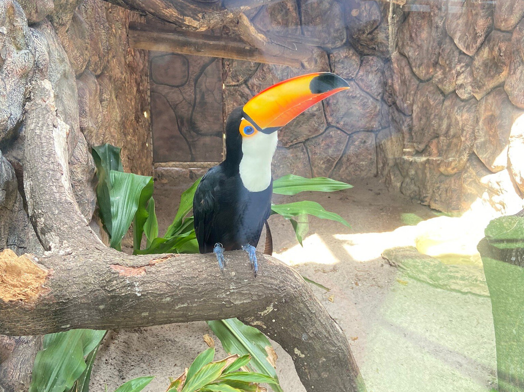 Ecopark Sol e Mar-Maragogi必去景点