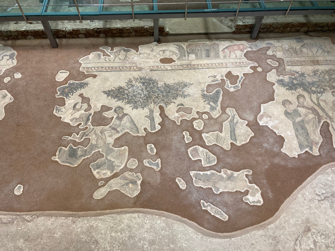 Sanliurfa Archeology and Mosaic Museum-Sanliurfa必去景点