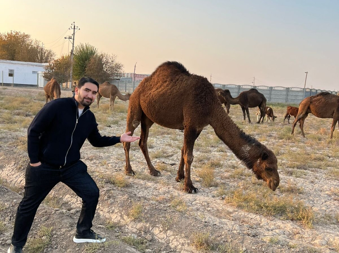 古梅夫国家历史文化公园-Merv必去景点