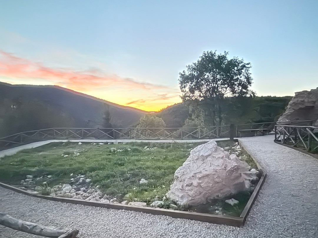 Azienda Agricola Bartolomei