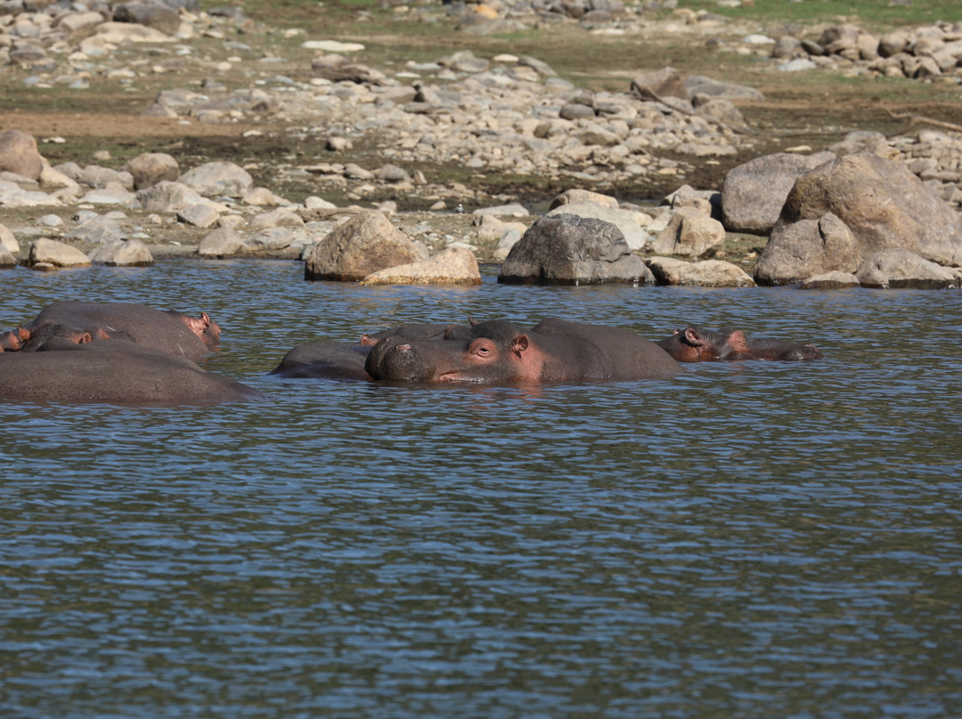 Endless Summer Tours-德班必去景点