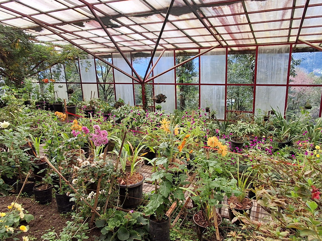 Lord Tours & Travels-甘托克必去景点