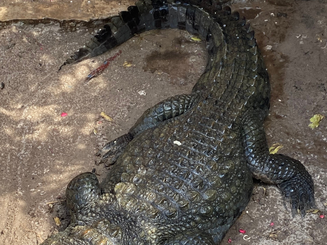 Soleil Casamance-开普史基林必去景点