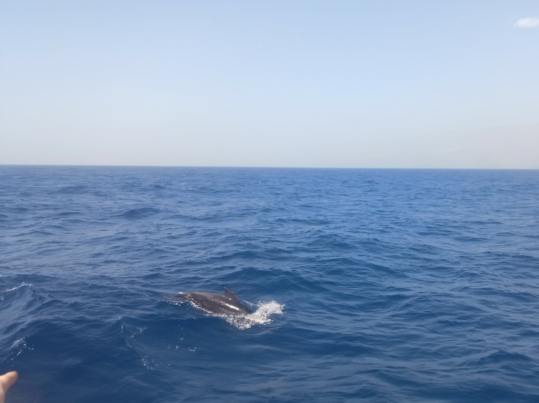 Tina Excursiones-Valle Gran Rey必去景点