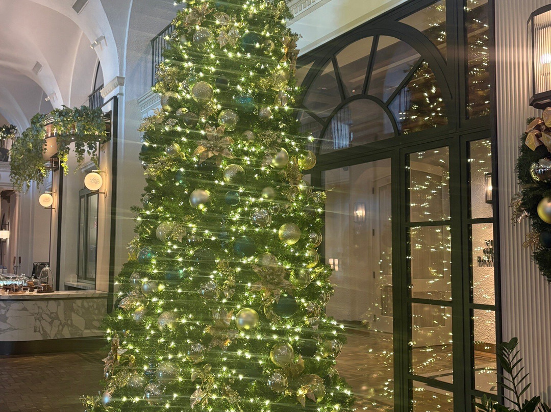 Vinoy Park-圣彼德斯堡必去景点