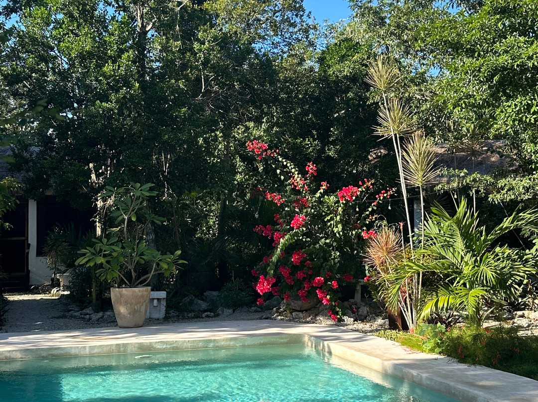 Maya Eco Village主图