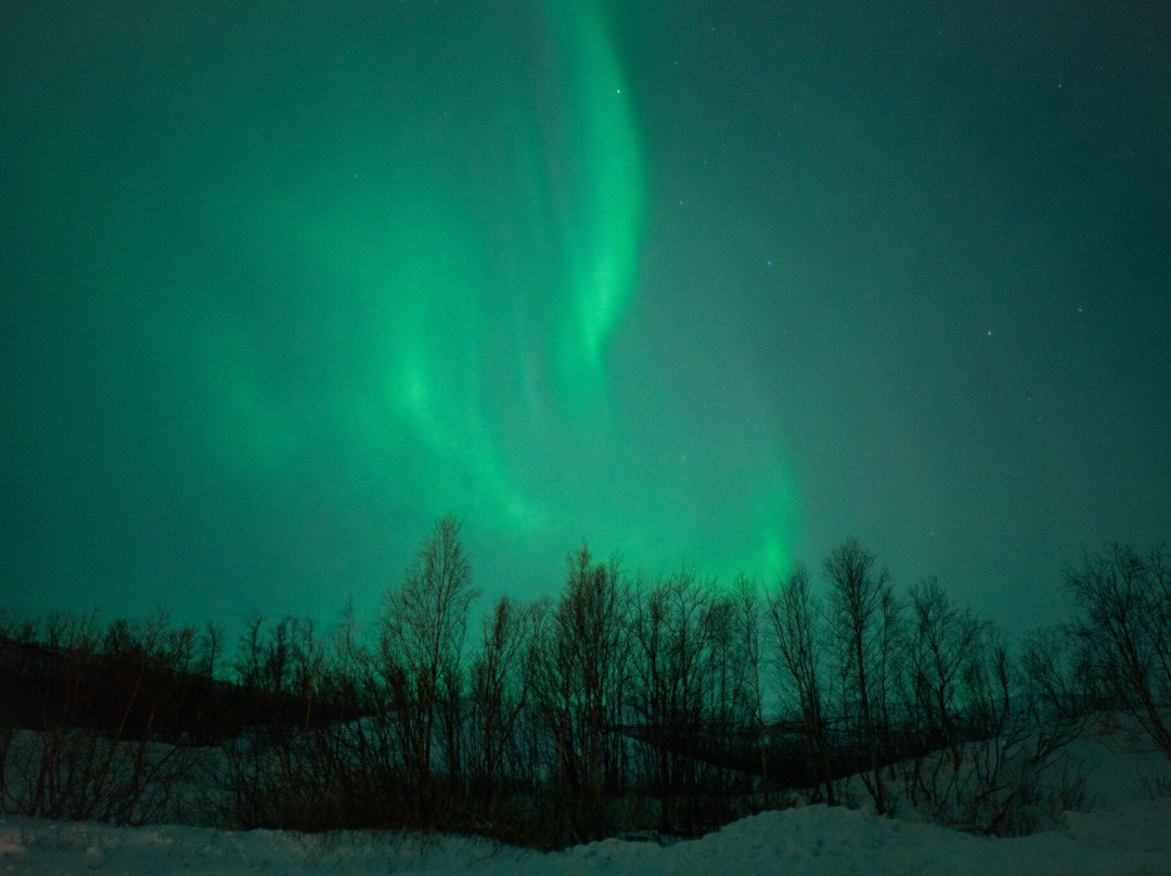 Lights of Vikings-阿比斯库必去景点