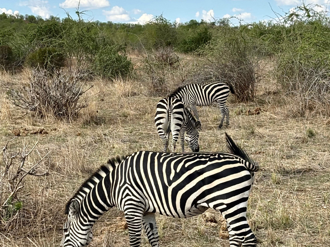 Sam safari & tours-Iringa必去景点