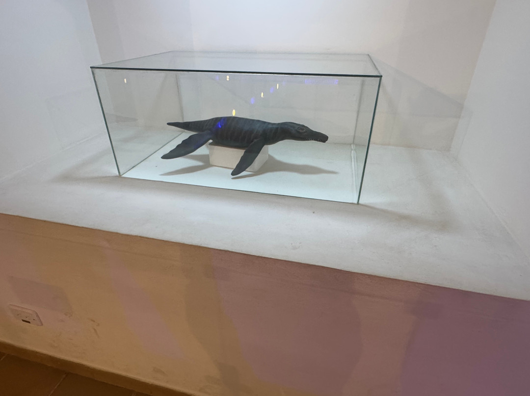 Museo El Fosil-莱瓦镇必去景点