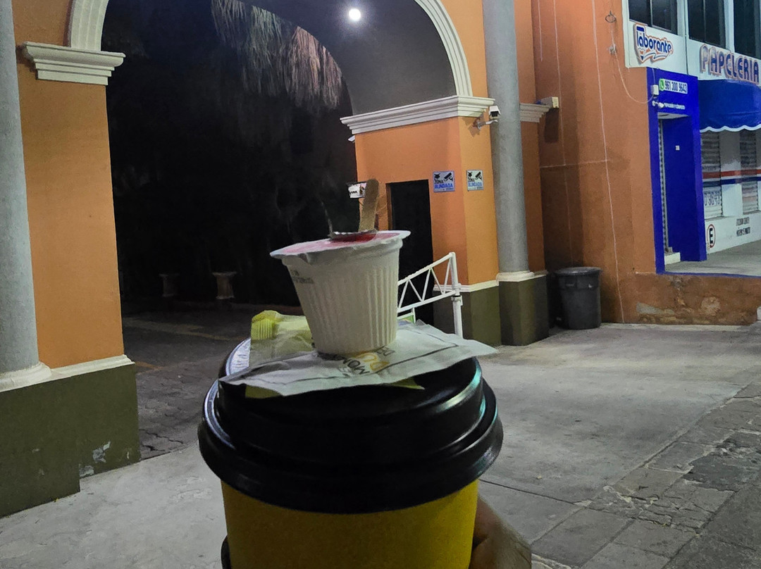 Palmareca Inn-Suites-Studios主图