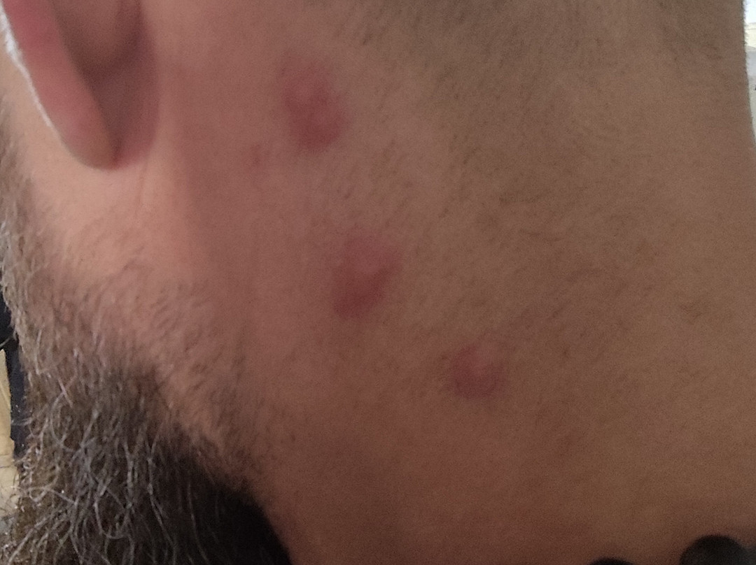 埃里卡酒店主图