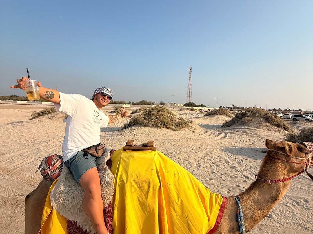 Doha Adventure & Tours-多哈必去景点