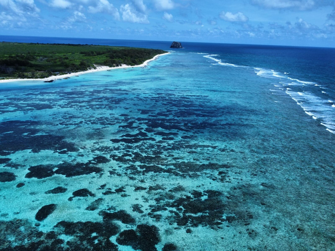 Coral Belle Catamaran Cruises-大湾必去景点