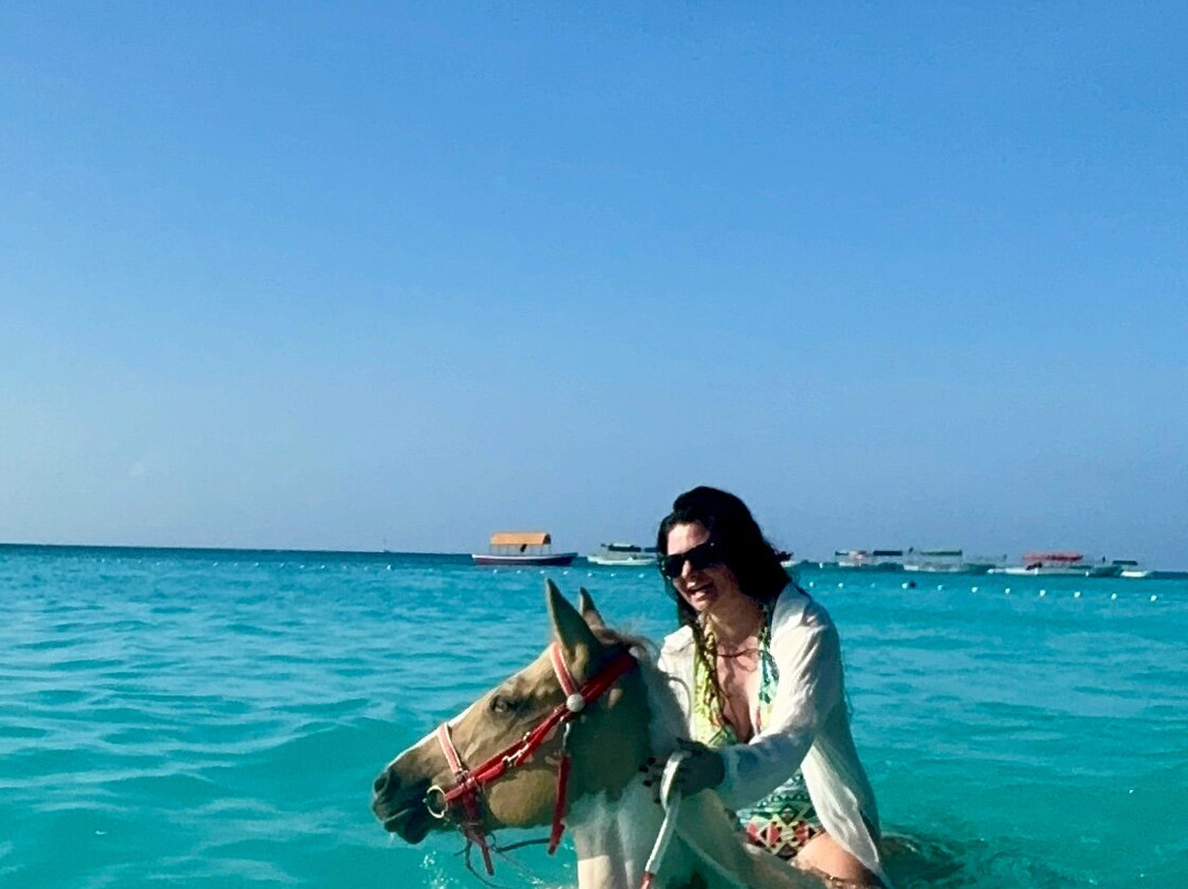 Zanzibar Horse Club-孥归必去景点