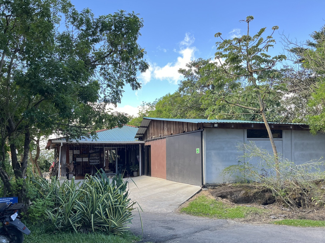 Las Hornillas Volcano Hot Springs-巴加塞斯區必去景点