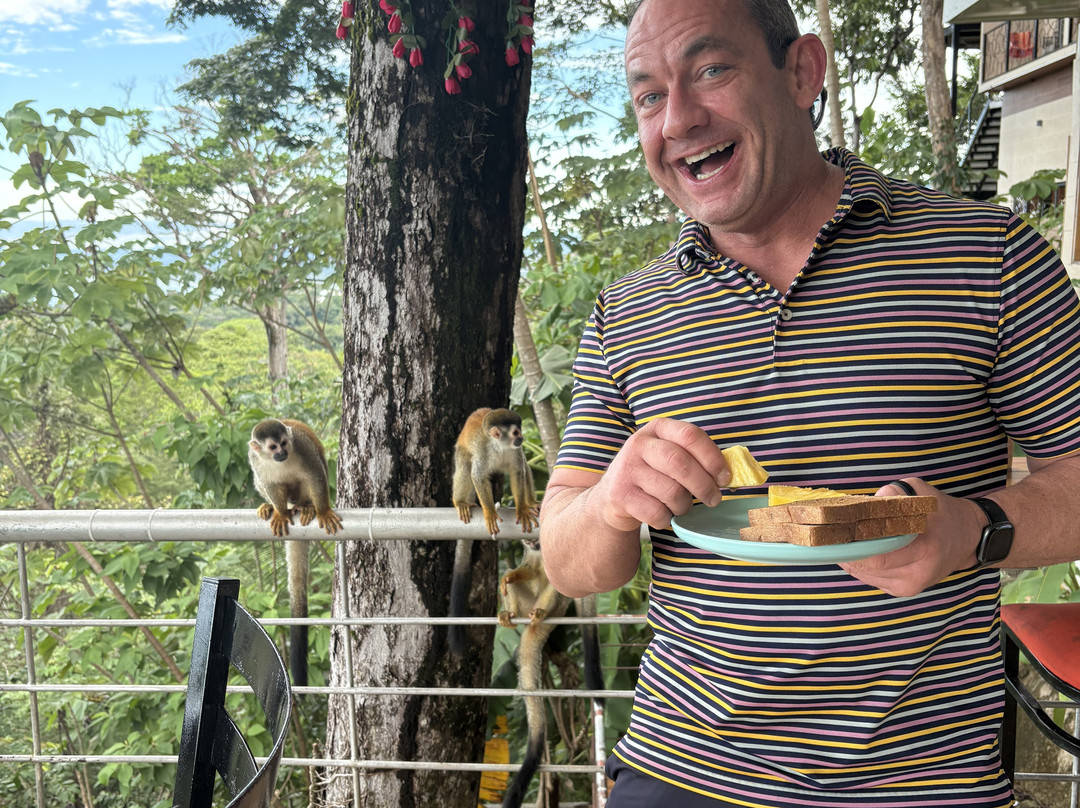 Mountain Top Park-哥斯达黎加安东尼奥国家公园必去景点